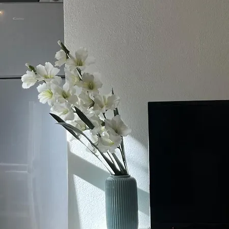 Apartment New In - Center Rom